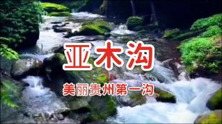 坑爹密室逃脱