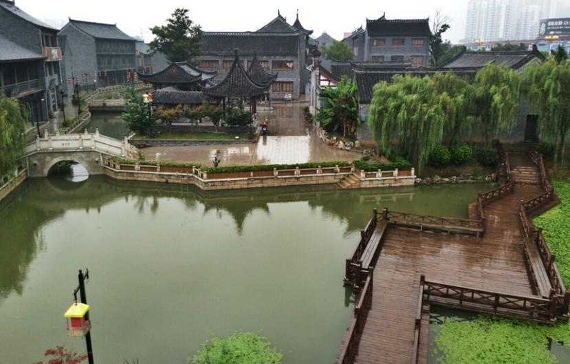 胖小猫救援